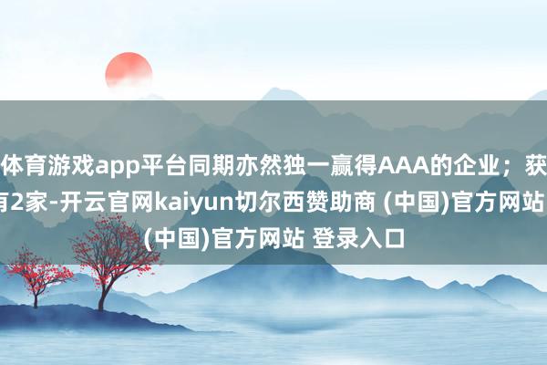 体育游戏app平台同期亦然独一赢得AAA的企业；获评AA的有2家-开云官网kaiyun切尔西赞助商 (中国)官方网站 登录入口