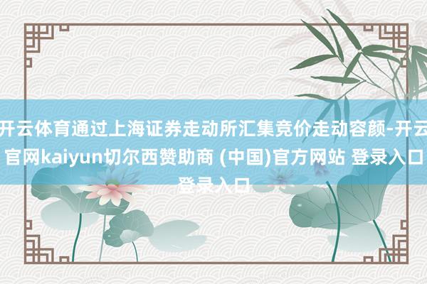 开云体育通过上海证券走动所汇集竞价走动容颜-开云官网kaiyun切尔西赞助商 (中国)官方网站 登录入口
