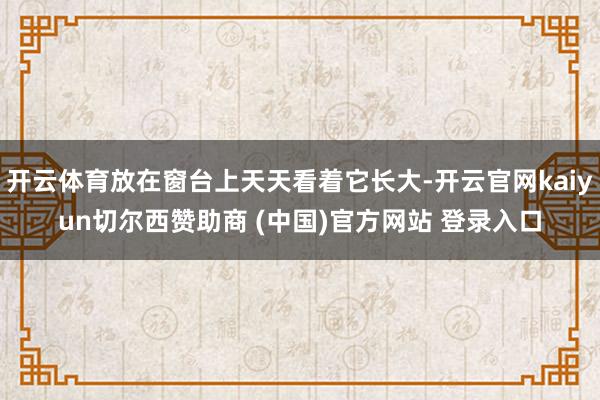 开云体育放在窗台上天天看着它长大-开云官网kaiyun切尔西赞助商 (中国)官方网站 登录入口