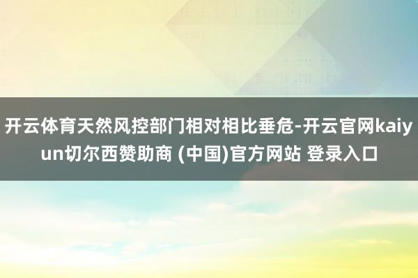 开云体育天然风控部门相对相比垂危-开云官网kaiyun切尔西赞助商 (中国)官方网站 登录入口