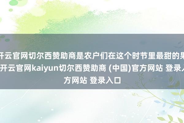 开云官网切尔西赞助商是农户们在这个时节里最甜的果实-开云官网kaiyun切尔西赞助商 (中国)官方网站 登录入口